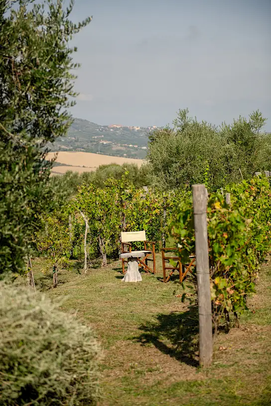 Casa Collina | image 48