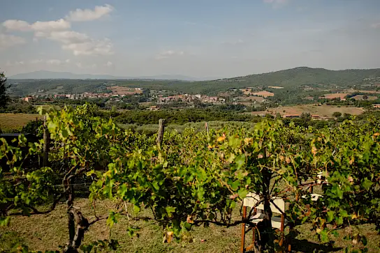 Casa Collina | image 49