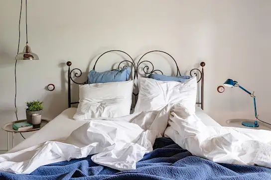 Casa Boronia | image 16