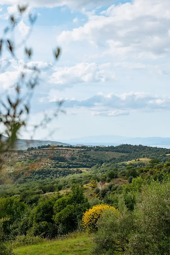 Casa Boronia | image 90