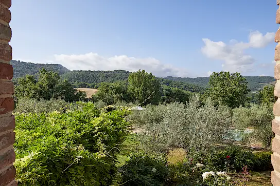 Casa Boronia | image 37