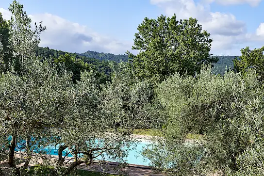 Casa Boronia | image 41