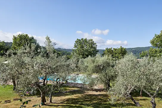 Casa Boronia | image 42