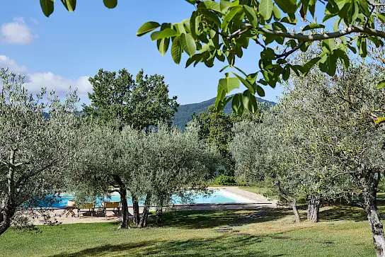 Casa Boronia | image 43