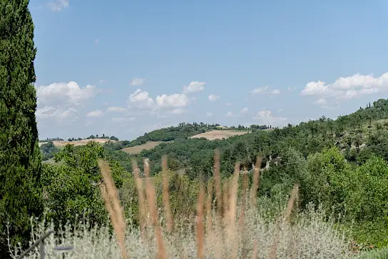 Villa Vergelle | image 36