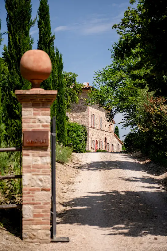 Podere Masale | image 17