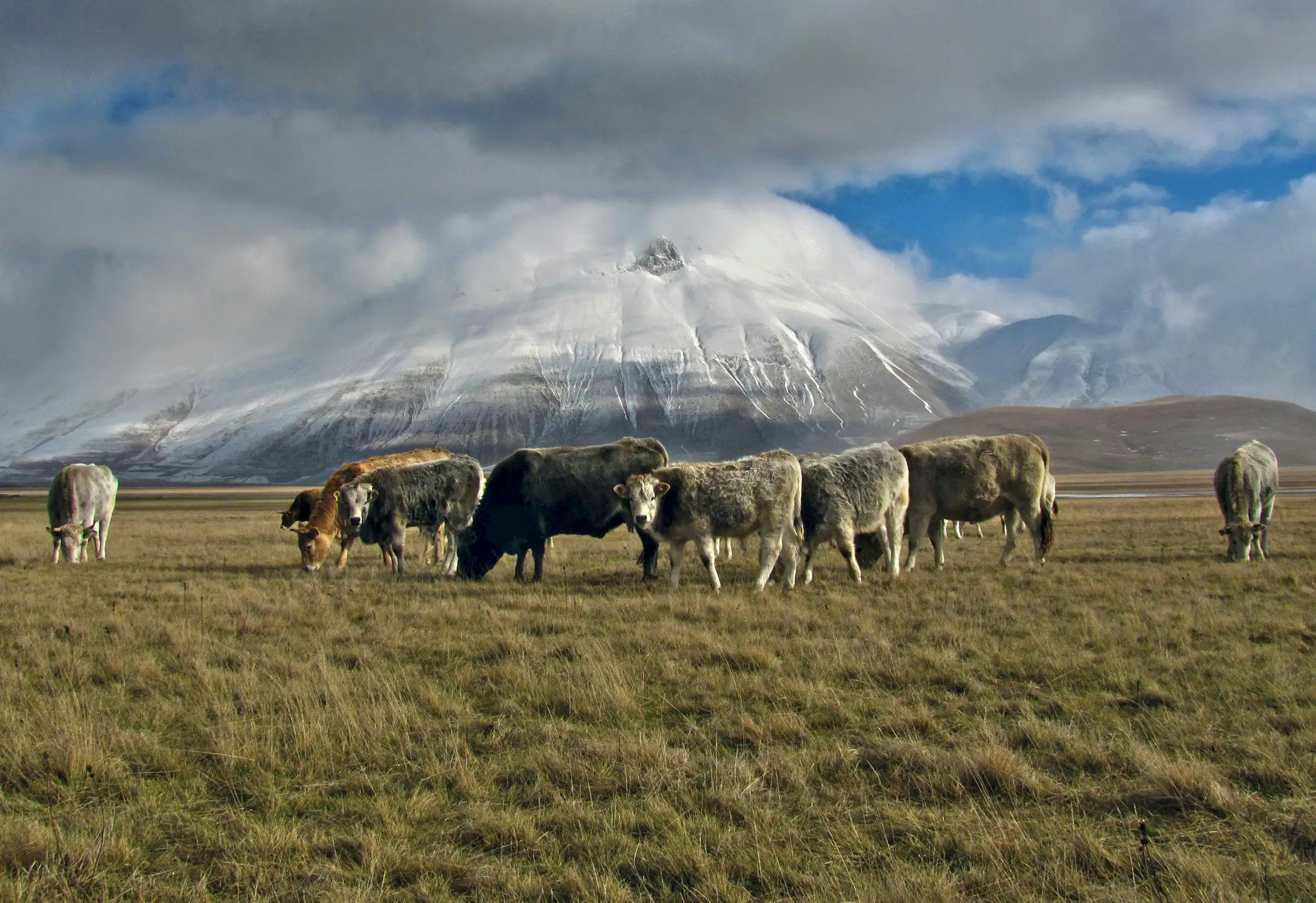 Castelluccio