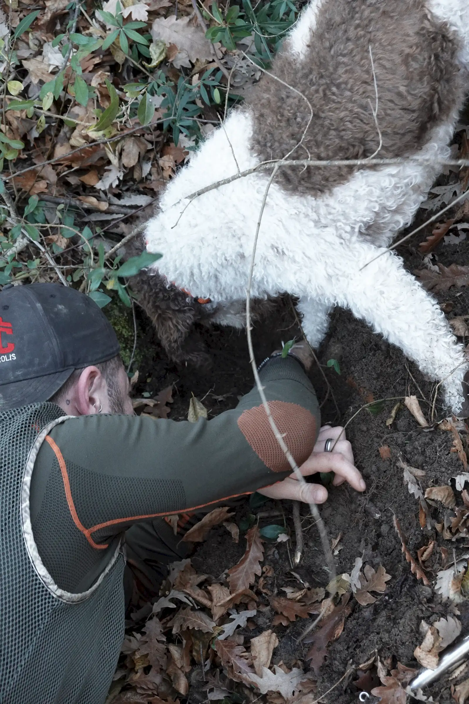 We may have found some...