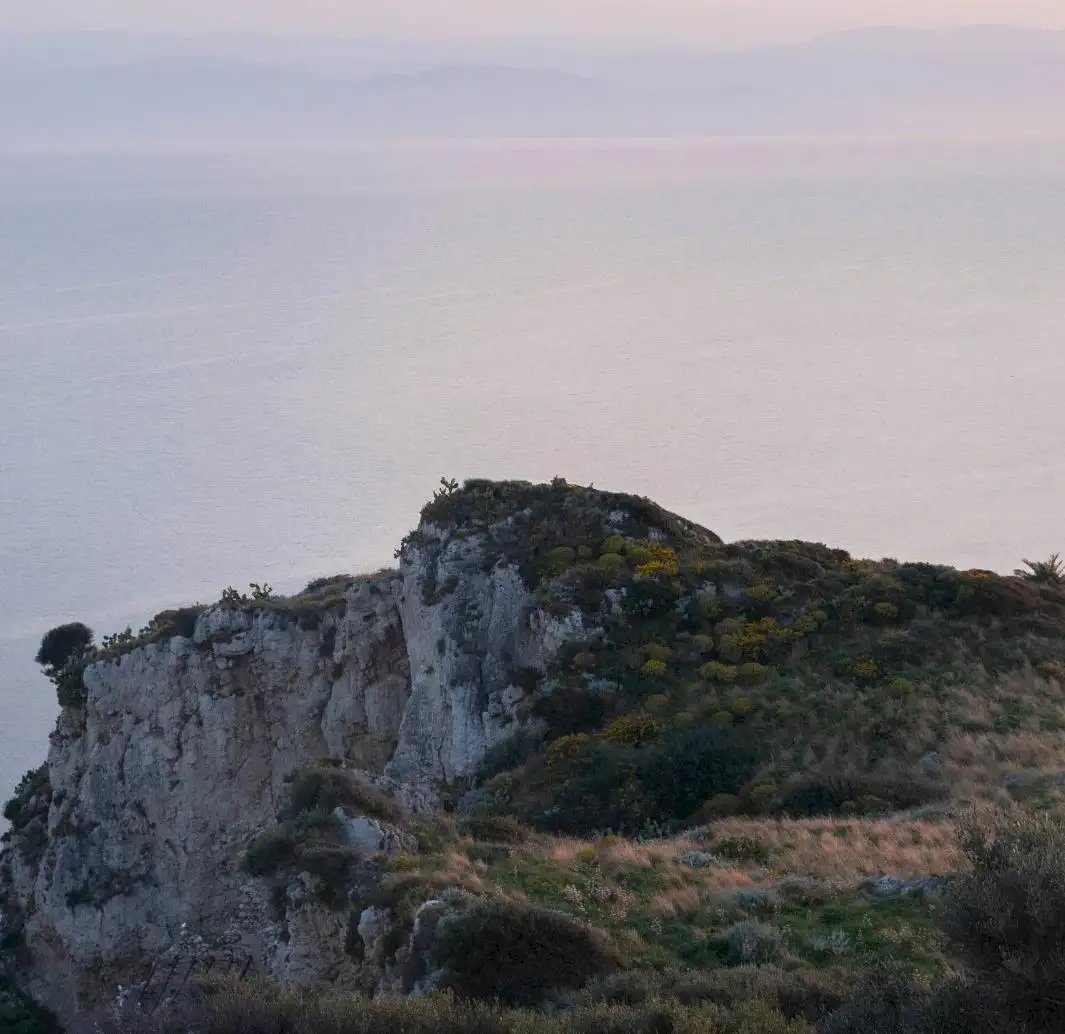 Sofia Di Stefano | photography by Yeelen Tavilla