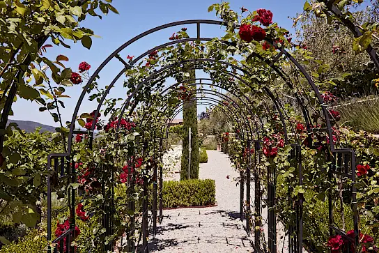 Podere Polino | image 29