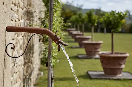 Podere Polino | image 34