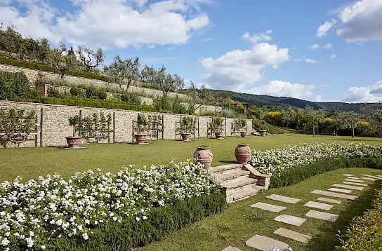 Podere Polino | image 35