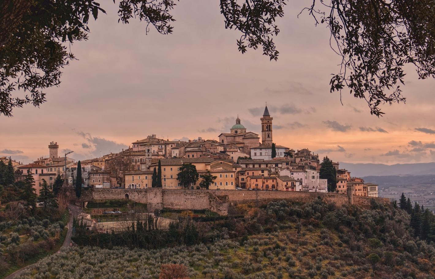 The olive groves and vineyards of the Spoleto Valley in Trevi